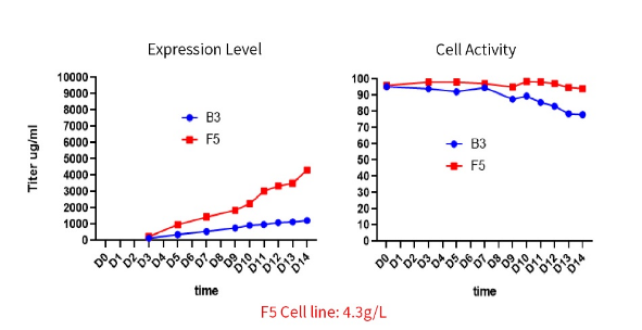 Cell line with stable and high yield