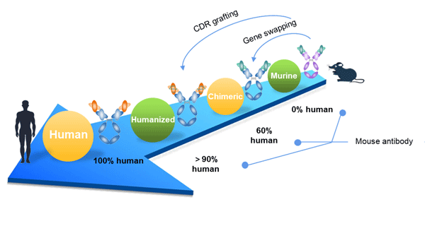 DeepLight® Visualized Screening Results