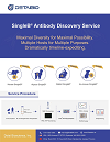 SingleB® Antibody Discovery Service