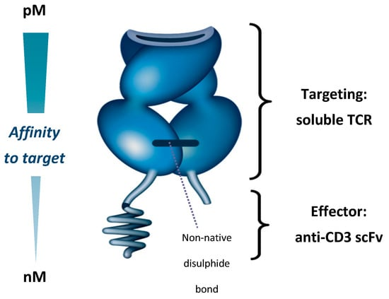 antigen