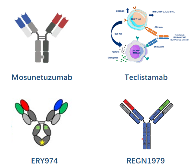 Fragment-based TCEs