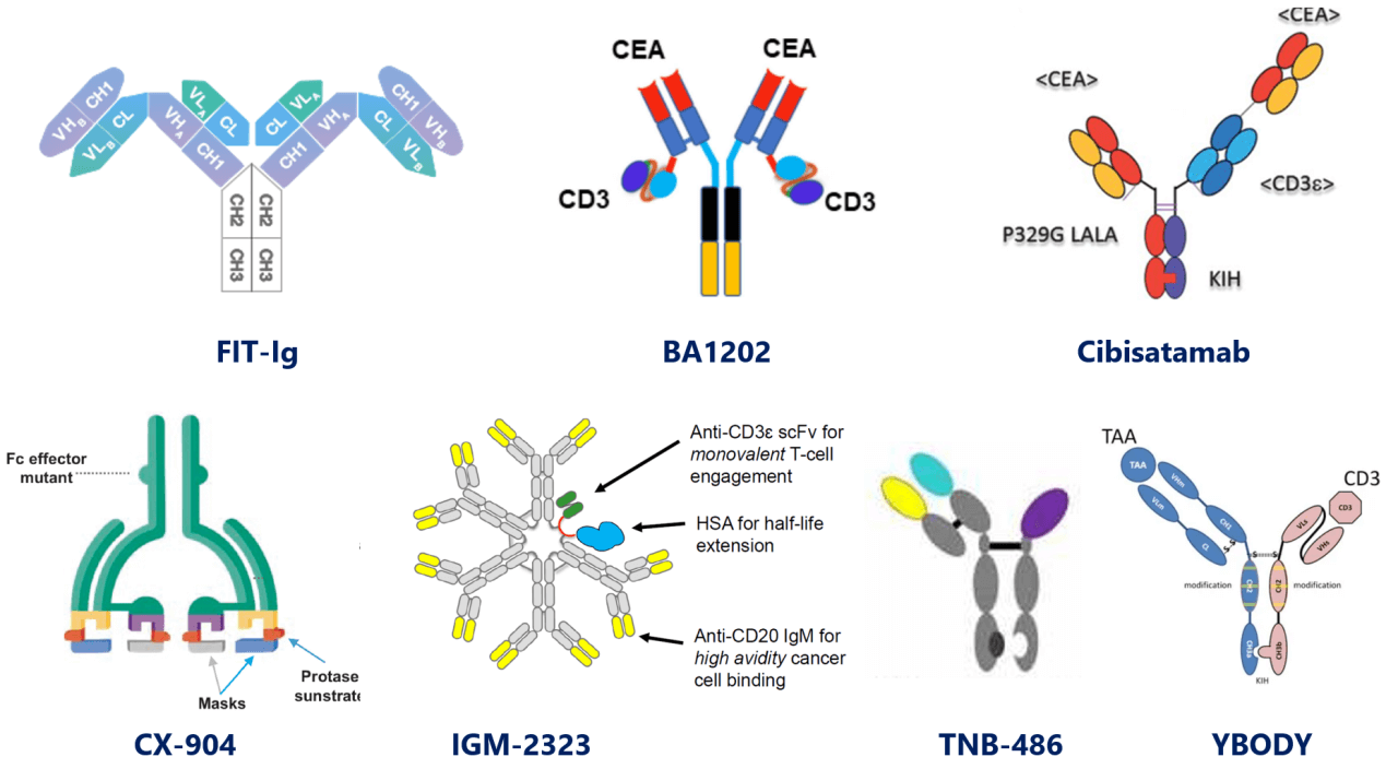 IgG-like TCEs in differentiated formats