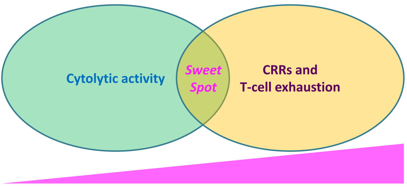 Fine-tuning CD3-binding affinity