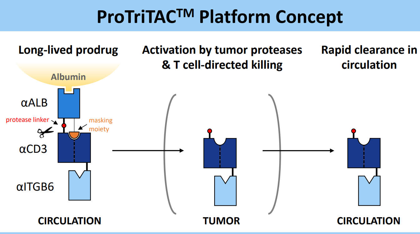 ProTriTAC