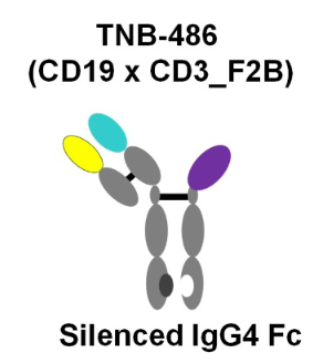 Structure of TNB-486