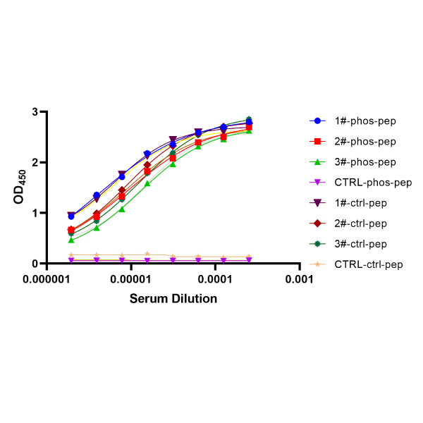 Animal Immunization & Cross detection of Serum Titer