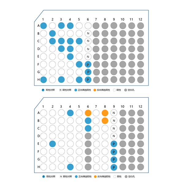 Antibody functional verification
